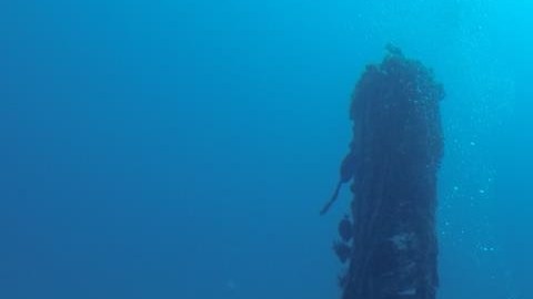 Imagen tomada por los pescadores de Vieques que hicieron el hallazgo hoy.