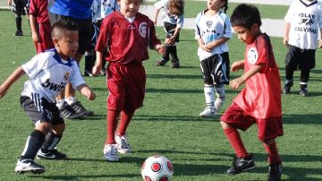 Niños y niñas han disfrutado del programa 'Soccer Start' que anualmente se lleva a cabo durante 12 semanas en Flushing Meadows Park de Queens.