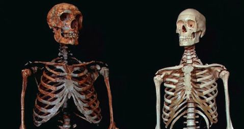 Restos de una cueva en Brasil indcan que el hombre estuvo en América hace 22 mil años.