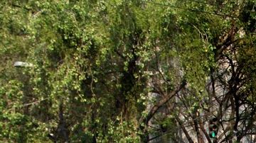 Obama a bordo de 'la bestia' en su camino al aeropuerto del DF.