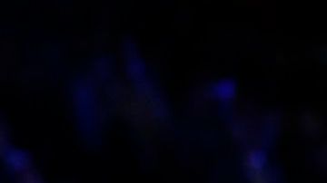 Mares se coronó campeón pluma del CMB.