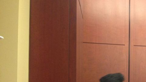 Grupo de jóvenes y padres inmigrantes que fueron al Congreso.