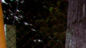 Puerto Rico registra un promedio de 10 asesinatos cada fin de semana.