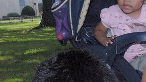 El saldo final al final de 2012 en el país  fue de 286 muertes, dos más que en 2002.