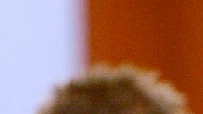 El exastro de la NFL, O.J. Simpson, vuelve este lunes a los tribunales en Las Vegas.