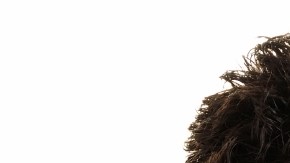 La rinitis, o fiebre de heno, es común en la temporada de calor.