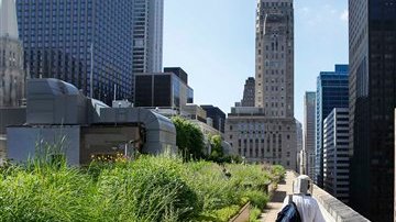 Los huertos comunitarios son pieza clave en la estrategia de alimentos saludables de Michelle Obama