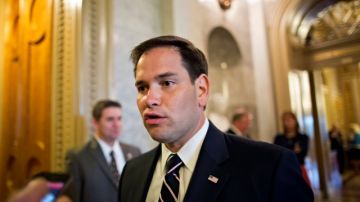 El senador Marco Rubio, republicano por Florida, reconoció que el proyecto de reforma migratoria  enfrenta  un duro camino para su aprobación, si las medidas para la seguridad fronteriza no se mejoran.