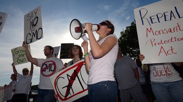 Protestas en EE.UU. y el mundo se llevaron a cabo este sábado contra plantas biotecnológicas agrarias Monsanto.