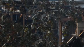 La estructura quedó arruinada.