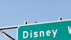 Las armas no están permitidas dentro de los parques de diversiones de Disney.