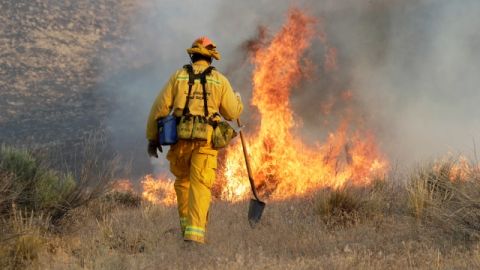 El incendio forestal amenazaba ayer a cientos de viviendas al acercarse peligrosamente a dos poblaciones al pie de las colinas del norte de Los Ángeles.