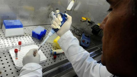 Las autoridades de Salud indicaron que las muertes se produjeron en las últimas seis semanas