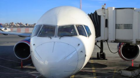 El avión tenía previsto viajar de Nueva York a Atlanta y salió finalmente con 45 minutos de retraso debido al incidente.