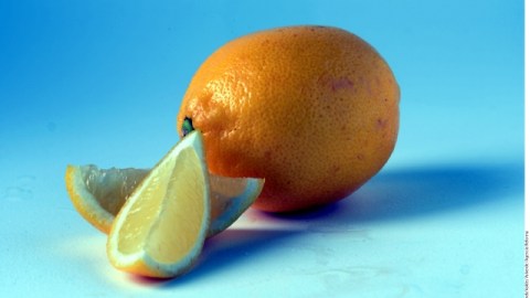 El limón, el vinagre y el ajo pueden sustituir parte de la sal utilizada en la preparación de los alimentos.
