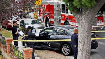 El sargento  de la Policía de Santa Monica, Rudy Flores, expresó que varios testigos llamaron y reportaron que la balacera la inició un sujeto que abrió fuego contra vehículos.