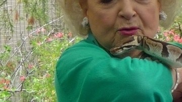 Betty White con uno de los reptiles que viven en el Zooló, titulada Rainforest of the Americagico de Los Ángeles.