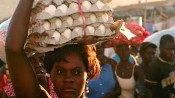 La situación de la gripe A trascendió las fronteras con la decisión tomada por el vecino Haití de prohibir las importaciones de pollos y huevos desde República Dominicana.