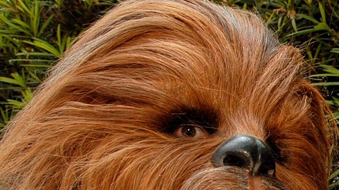 El  actor Peter Mayhew, quien interpretó al personaje de Chewbacca en "La Guerra de las Galaxias".