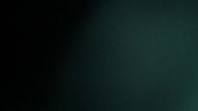 Recientemente Piña produjo en Puerto Rico las primeras dos funciones de Don Omar.