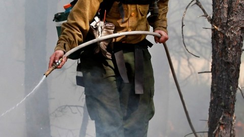 Un bombero apagaba las llamas ayer.