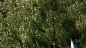 Según una encuesta publicada por Immigration Equality y realizada por Latino Decisions, 64% de latinos está a favor de una reforma migratoria inclusiva.