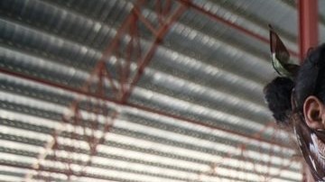 Pese a las cifras, el avance sigue lento en la región.