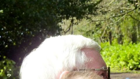 La Corte de California ofrece recursos a los abuelos para ver a sus nietitos.