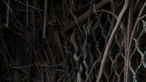 El puertorriqueño Draco Rosa engendró 'Vida' como respuesta a su cáncer.