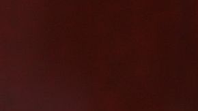 Reyes durante la vista llevada a cabo ayer.