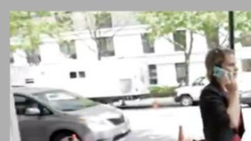 Imagen provista por el Zoológico de El Bronx y que muestra a una de las miembros de los "Dino Tails".