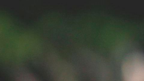 El presidente de México, Enrique Peña Nieto, afirma que ya reconoció al Gobierno de Nicolás Maduro.