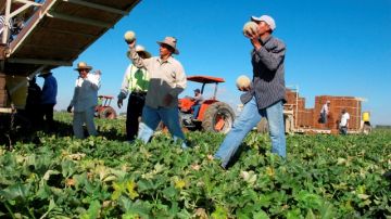 El plan migratorio de la Cámara de Representantes propone  un nuevo programa de visas para los trabajadores agrícolas, que refuerza sus protecciones legales.