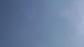 El agua también es necesaria para el buen funcionamiento del cerebro.