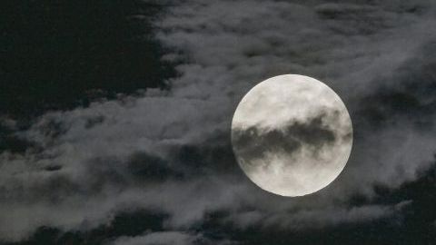 La “Superluna” que se verá este fin de semana se verá 14% más grande y 30% más brillante, porque estará más cerca de la Tierra.