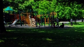 Bolsas de basura "perfuman" el aire en el parque Flushing Meadows-Corona de Queens.