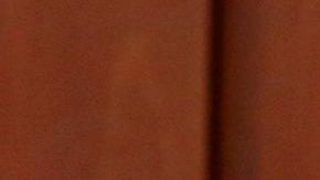 Jayne Surdyka es una de las testigos clave de la Fiscalía.