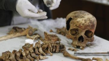 Un arqueólogo muestra los restos óseos de quien sería una sacerdotisa.