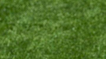 Isco en el Santiago Bernabéu.
