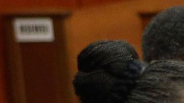 Los padres de Trayvon Martin, Sybrina Fulton y Tracy Martin, escuchan las declaraciones de uno de los testigos en el juicio contra George Zimmerman este miércoles en la corte en Florida.