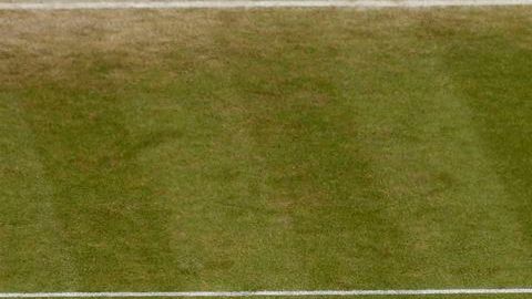 Dos gigantes en el pasto sagrado: Djokovic y Del Potro.