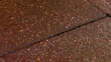 Un miembro de la comunidad gay de Costa Rica ondea una bandera arcoíris durante una protesta, en un día lluvioso del 2010.