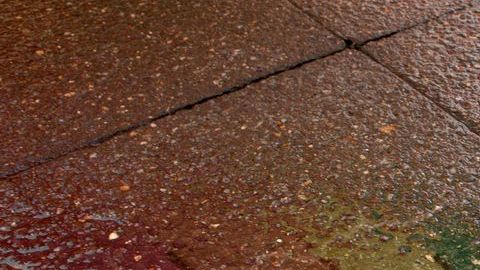 Un miembro de la comunidad gay de Costa Rica ondea una bandera arcoíris durante una protesta, en un día lluvioso del 2010.