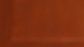 Debra Nelson, jueza del caso Zimmerman, pidió al jurado mayor claridad.