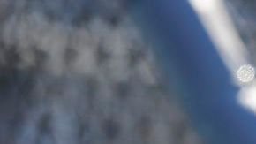 El velocista es el único representante de los Padres de San Diego en el Clásico.