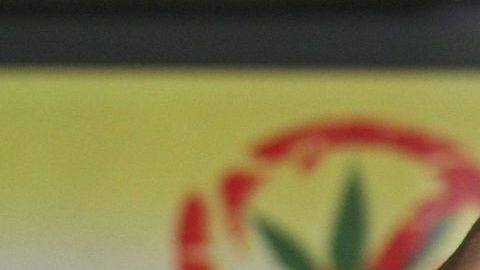 Fox mantiene la idea del uso medicinal del cannabis.