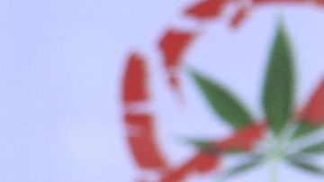 El expresidente mexicano Vicente Fox durante su participación en el foro "Simposium EE.UU.-México sobre legalización y Uso Médico de Cannabis".