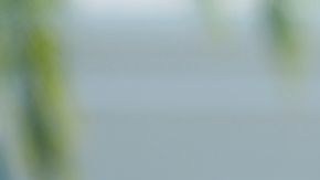 Melky Cabrera es otro que espera la decisión de las Ligas Mayores.