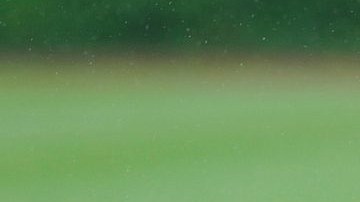 Gallardo espera los resultados de los exámenes para saber la gravedad.