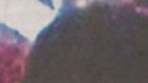 Messi y el supuesto montaje